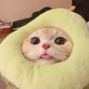 Meet your Posher, Koriki